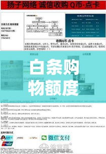 白条购物额度怎么刷出来，白条消费额度怎样提现