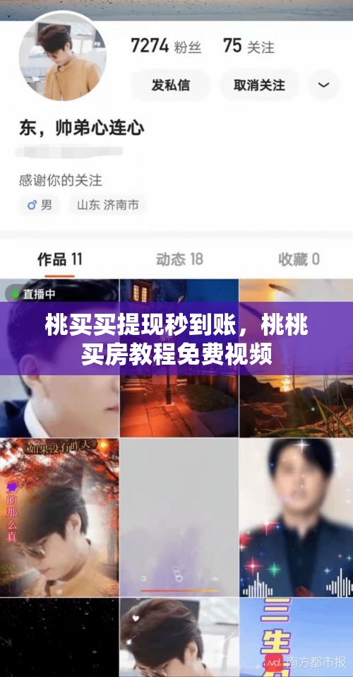 桃买买提现秒到账，桃桃买房教程免费视频