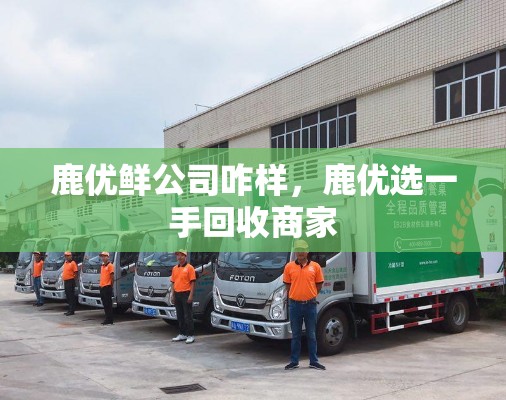 鹿优鲜公司咋样,鹿优选一手回收商家