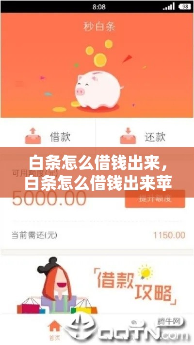 白条怎么借钱出来，白条怎么借钱出来苹果手机