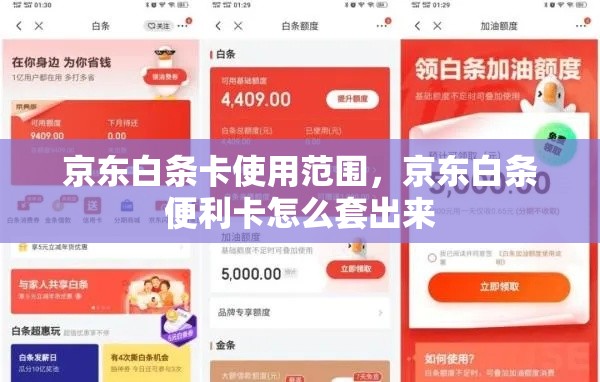 京东白条卡使用范围，京东白条便利卡怎么套出来