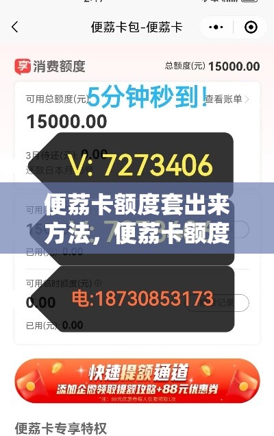 便荔卡额度套出来方法，便荔卡额度如何套出来