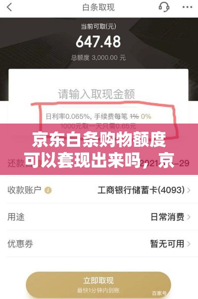 京东白条购物额度可以套现出来吗，京东白条消费额度套出来