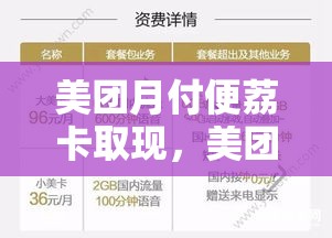 美团月付便荔卡取现，美团月付里的可取现金
