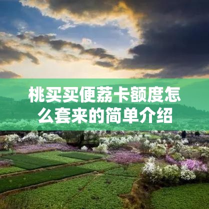 桃买买便荔卡额度怎么套来的简单介绍