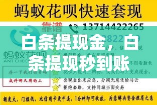 白条提现金，白条提现秒到账