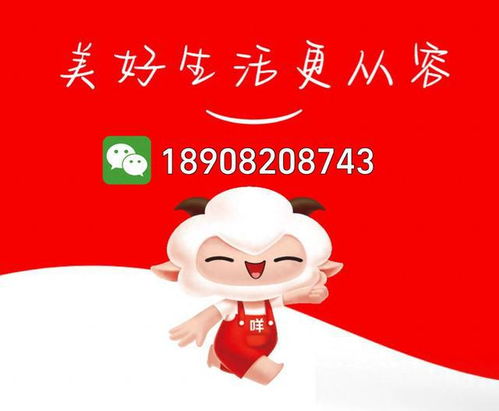 羊小咩怎么提现出来，羊小咩一手回收商家