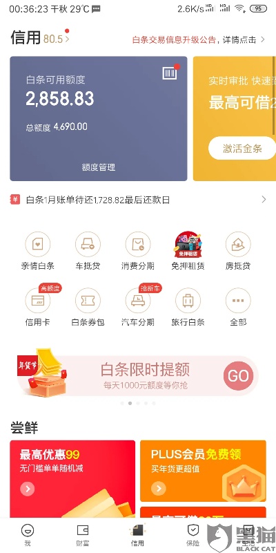 白条卡是什么意思，白条便荔卡包提现