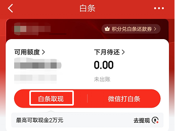 白条额度的钱怎么弄出来?，白条购物额度怎么套出来