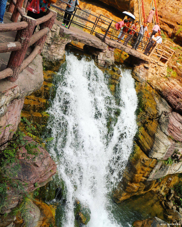 进化世界最强生物排名前十进化 世界