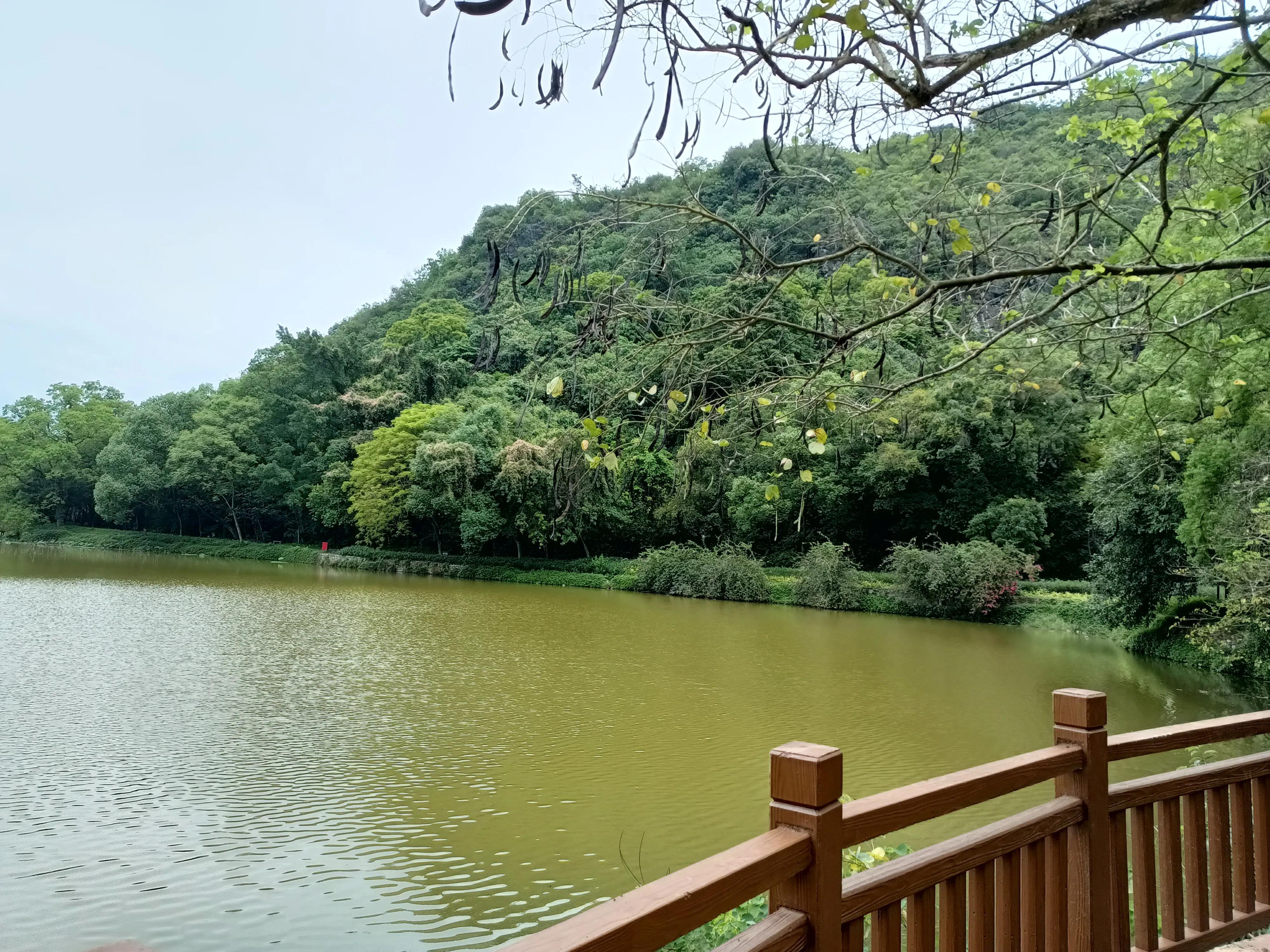 龙山景区十大排名（龙山县景区有哪些）