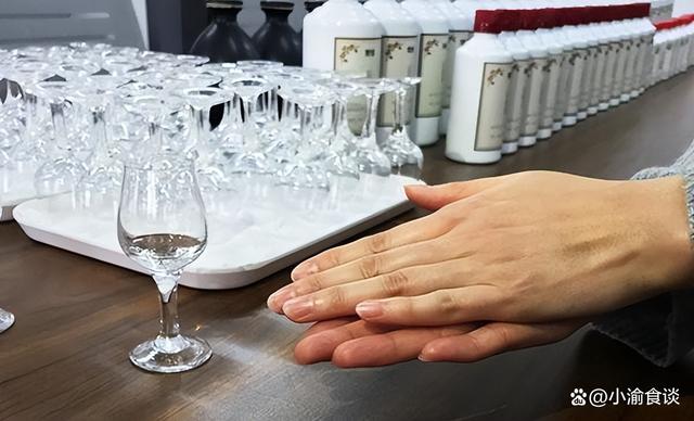 吹风机哪个最好用（世界吹风机十大名牌）