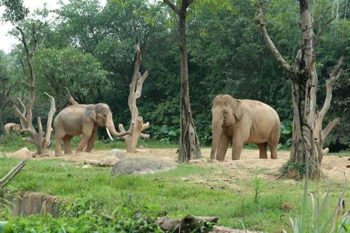 耐用的防爆灯排名前十：兆昌照明凭何成为“隐形冠军”？世界顶级防弹玻璃