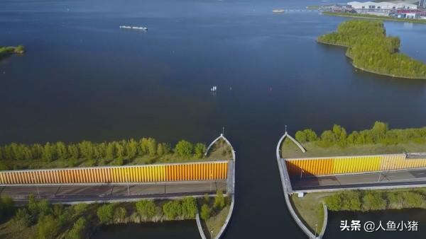 世界前十大轮船（世界十大轮船发动机品牌）