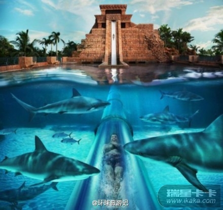 水魔方和水立方哪个好，优缺点对比，选择最适合你的水上乐园世界上最刺激的滑水运动