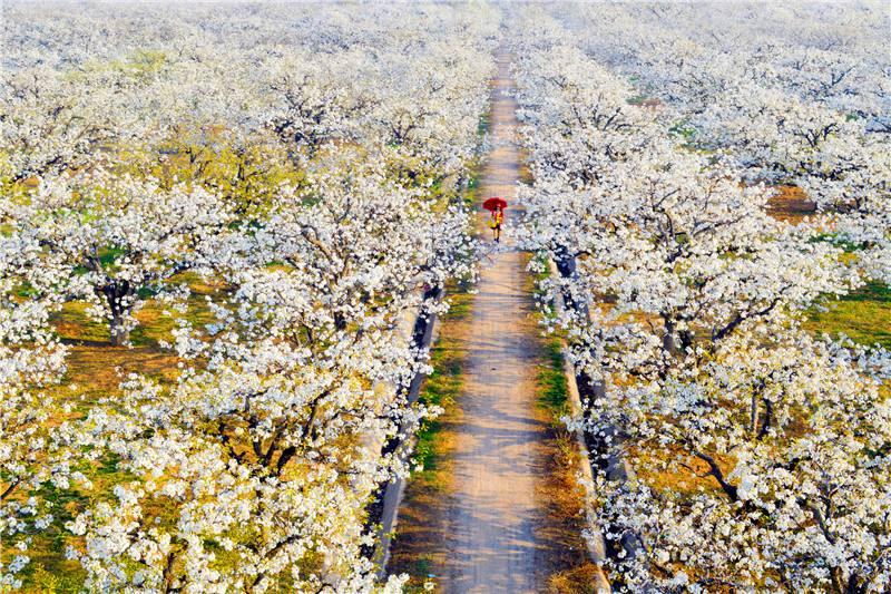 世界有名的投资集团排名前十世界十大资本集团？