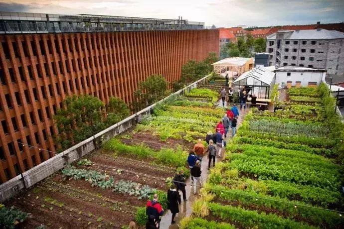 世界先进鸡舍排名前十蛋鸡养殖