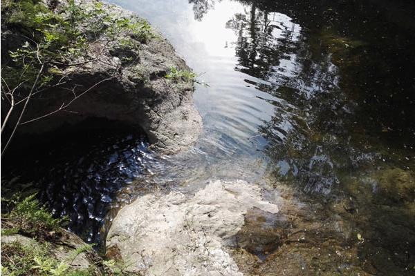 密云景区十大排名（密云景区大全集）
