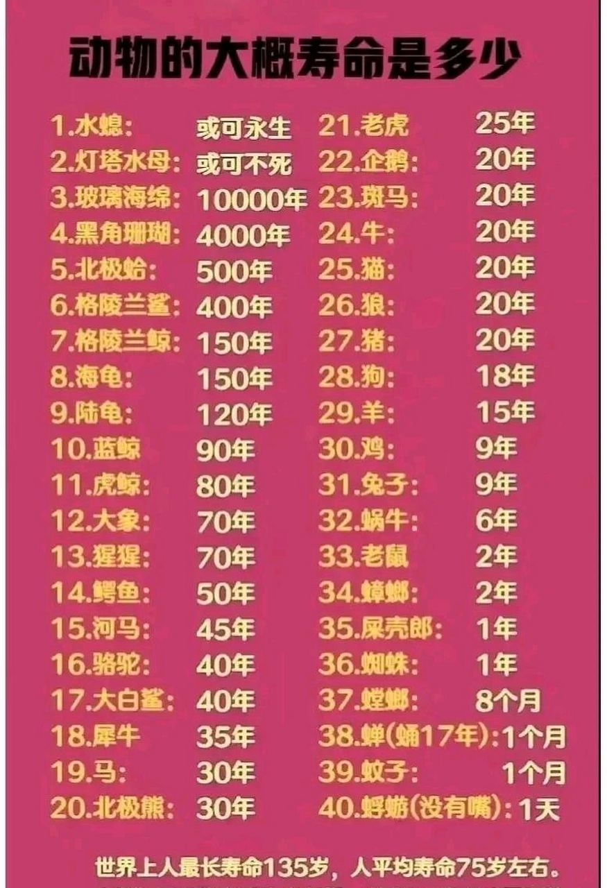 世界上九种动物排名前十（世界上所有动物大全）