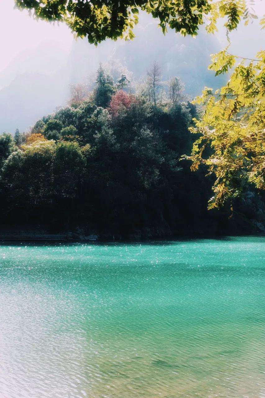 最羡慕中国的地方（你们最羡慕中国人什么）