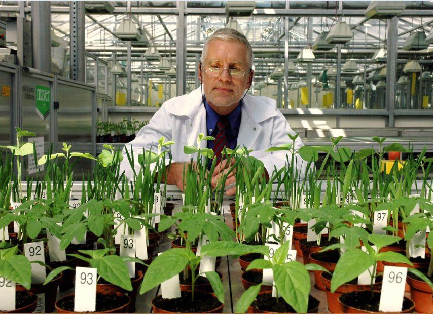 世界水溶肥前十品牌世界十大水溶肥料排名