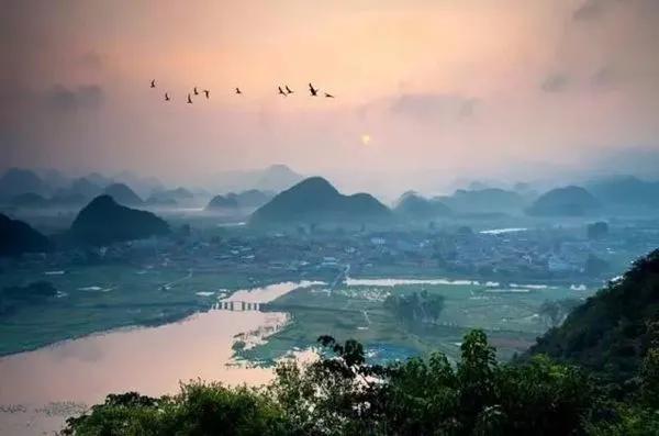 中国最原始南稻原始水稻品种