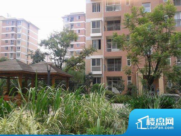 油汀取暖器哪款好，油汀取暖器十大排名