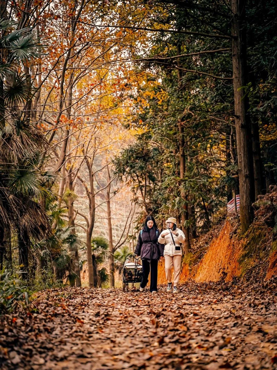 世界上最快的蒸汽火车世界上最牛蒸汽火车是什么