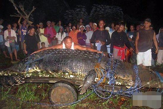 世界上最极端的鱼世界上最有毒的鱼