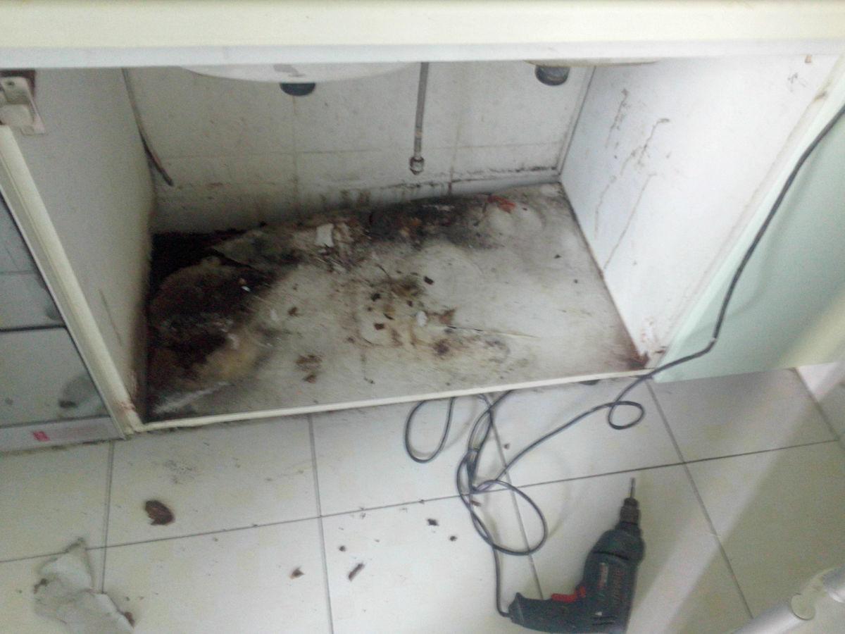 厨房水槽品牌十大排名榜（家用厨房水槽推荐哪款）