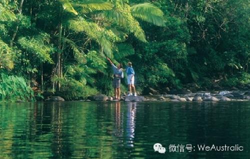 世界上最北雨林地球上最北的热带雨林在我国的什么地
