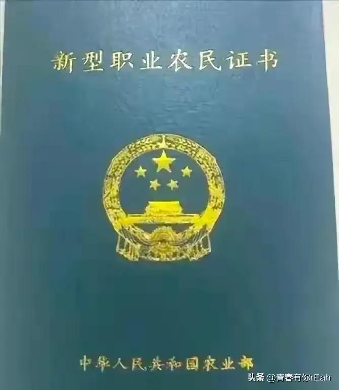 中国最牛证书排名中国最牛大学