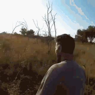 世界上最珍稀的十大猛兽 数量最少的猛兽 第一名不足四十头野生动物自然界各种各样的猛兽