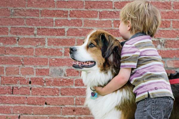 世界上最金贵的宠物雪貂可是个金贵的小东西，你知道它多少钱吗？