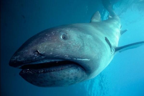 财富宝：年度大盘，强势来袭。低投高收，简单好操作