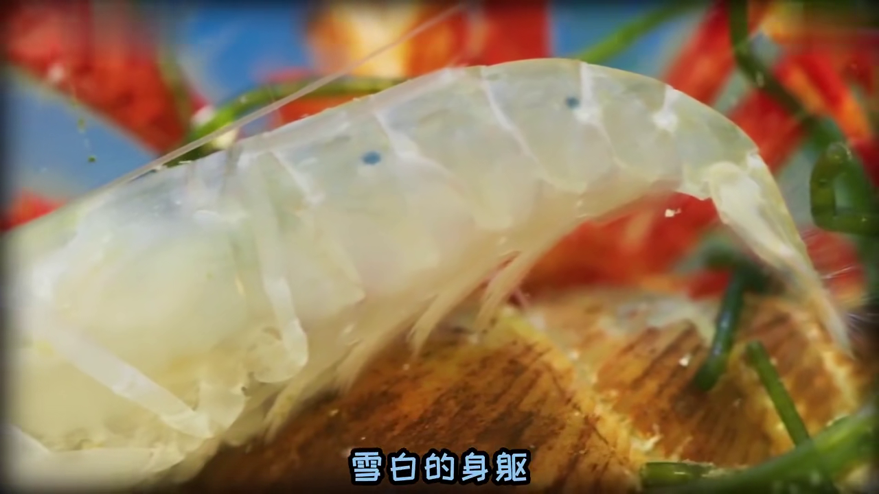世界上最耐热的虾,世界上最耐热的虾怎么吃