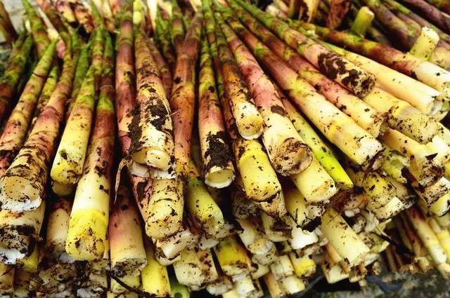 中华历史上哪些名人道貌岸然变成伪君子？中国尼姑最多的地方在哪里