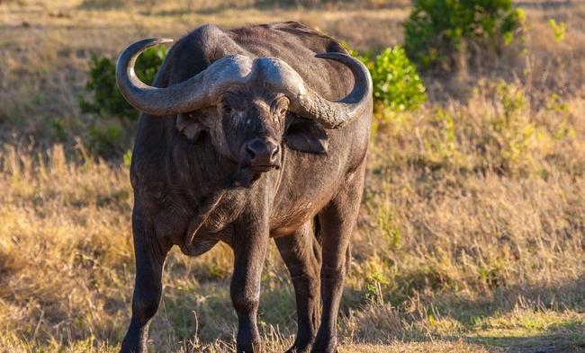 世界上最牛的名字,最牛微信名字