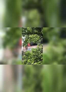 上蔡牛肉拉面十大排名,漯河有什么好吃的