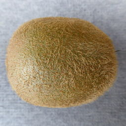 毒虫药膏十大排名，毒虫药膏十大排名品牌