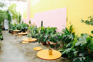 室内滑梯图片大全，室内滑板十大排名图