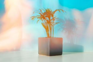 世界上最真诚的爱，世界上最真爱的句子