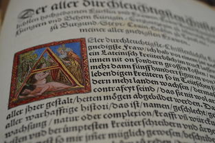 世界博士人数排名前十，世界博士生有多少人 占比是多少