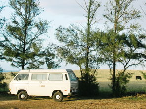 世界上最牛的卡车车祸是谁，世界上最牛的卡车车祸
