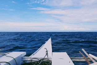 世界上最假的船排名前十，世界上最假的照片