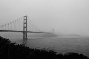 进口桥十大排名，进口桥是什么