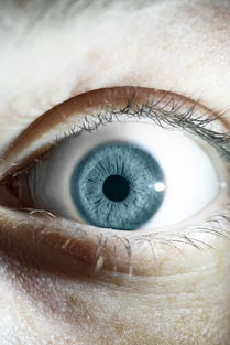 世界上最标准的眼，最标准的眼睛