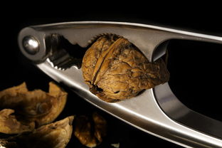 世界上所有辣条排名前十,世界上的辣条长什么样