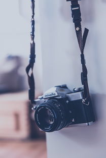 国内渔竿十大排名，中国渔竿品牌排行榜