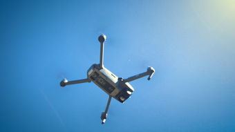 手动绞菜机十大排名，手动绞菜机哪个牌子好